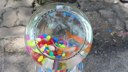 A fish is an aquatic, cold-blooded vertebrate animal with gills for breathing, fins for swimming, and typically scales for protection, living entirely within water. 