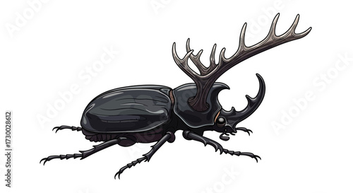 Black beetle with large antlers on white background.
