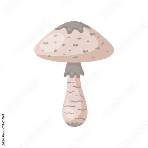 Parasol mushroom in flat style  on white background. Autumn mushroom. Fall element. Clip art. Cute autumn  icon. Design for autumn decorations, web, books, social media. Vector illustration.