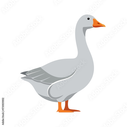 A simple illustration of a white goose standing on a white background.