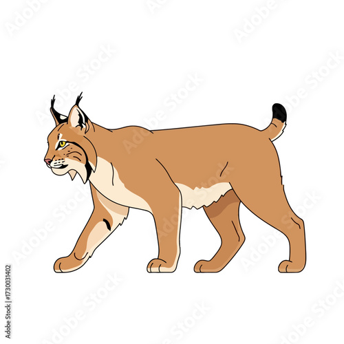 Majestic Caracal Walking Gracefully.