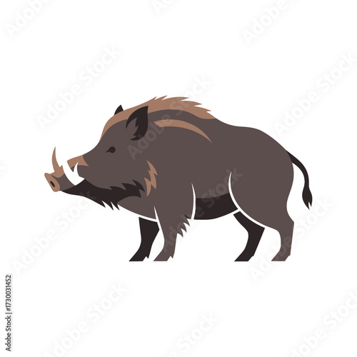 Wild Boar Illustration with Tusk and Fur.