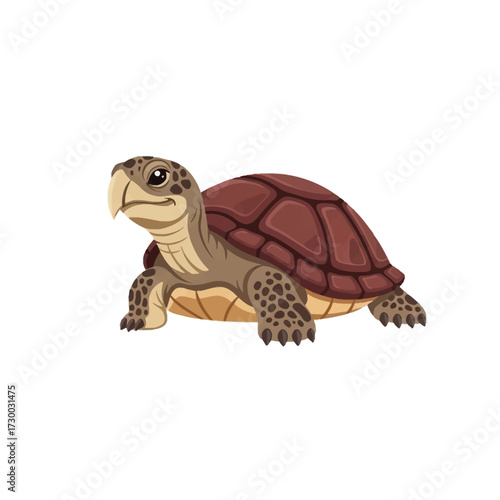 Cute turtle with brown shell and spotted legs, looking forward.