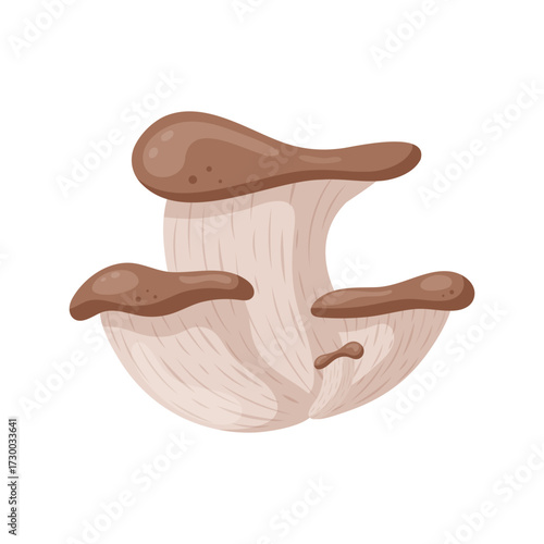 Oyster mushroom in flat style  on white background. Autumn mushroom. Fall element. Clip art. Cute autumn  icon. Design for autumn decorations, web, books, social media. Vector illustration.