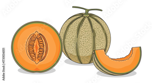 Three cantaloupes one sliced showing seeds on a white background.