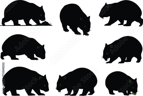 Black wombat silhouette collection eating grass and walking in various poses isolated wildlife animal vector illustration design for nature and zoo content