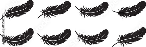 A set of Black and white feather silhouette vector illustration flat design art