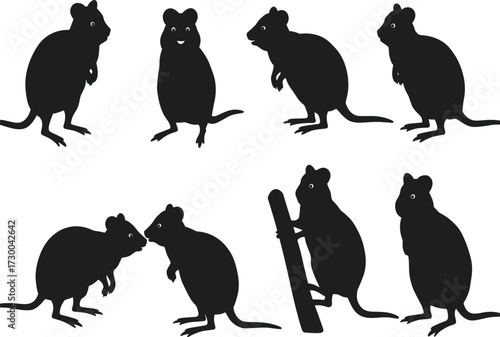Collection of black rat silhouettes standing climbing interacting in different poses isolated vector illustration rodent animal wildlife pest control graphic design