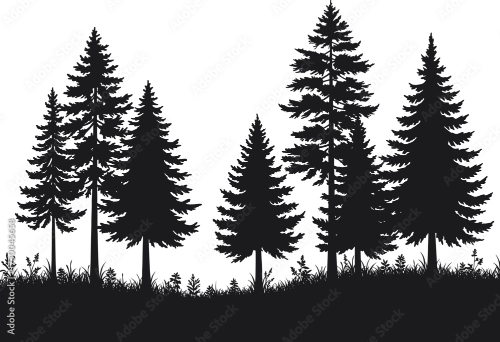 Obraz premium Coniferous Forest Silhouette with Grass – Black and White Vector Illustration for Nature, Landscape, and Environmental Concept Design Use