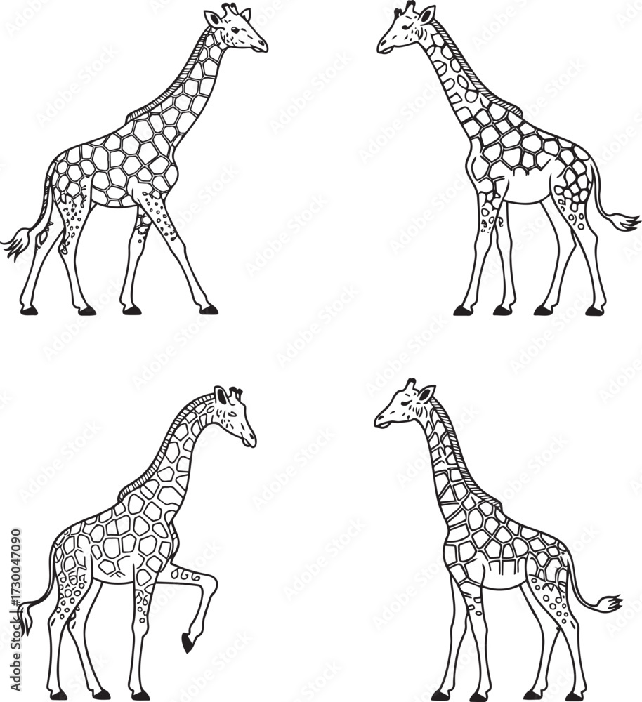 Obraz premium Set of Giraffe Outline vector illustration isolated On Transparent Background