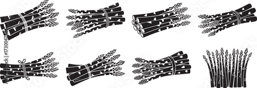 A group of Asparagus vegetable silhouette vector, black and white silhouette vector illustration