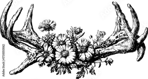 Antlers adorned with flowers create a unique decorative design. This detailed black and white vector illustration showcases the beauty of nature.
