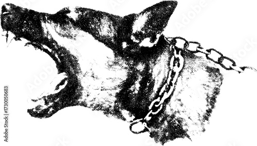 Aggressive dog breed vector illustration. Simple black and white graphic of a barking dog head with chain collar, emphasizing its fierce expression.