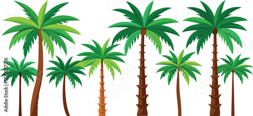A tropical scene featuring a variety of green palm trees standing tall