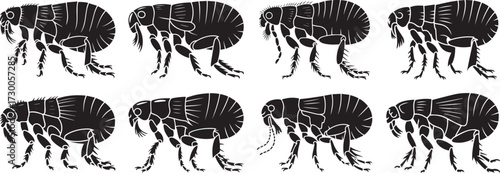 A group of Flea insects silhouette vector, black and white silhouette vector illustration