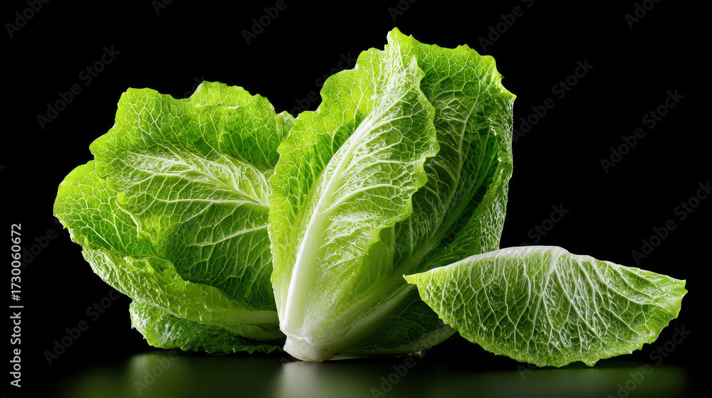 Obraz premium Fresh green romaine lettuce leaves with crisp texture isolated on black background for healthy food