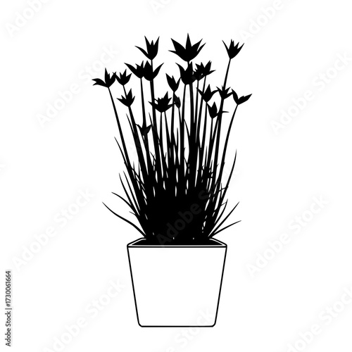 Vector art of a potted plant with thin, upright stems and small, dark flowers, creating a silhouette against an, perfect for botanical or minimalist design projects