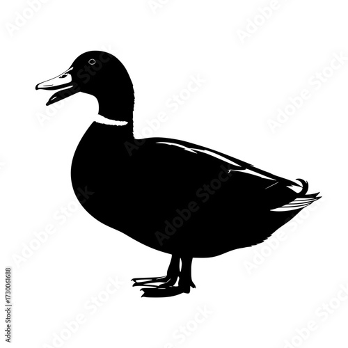 Vector art of elegant black duck, capturing the essence of wildlife, nature, and the serene beauty of waterfowl in a minimalist silhouette