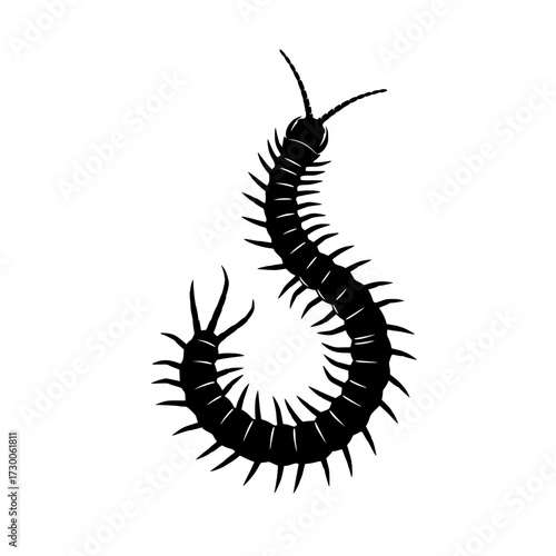Vector art of a black centipede with many legs is shown, its body curved in an sshape, antennae extended, creating a striking contrast against the white backdrop