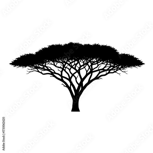 Vector art of a solitary acacia tree silhouette stands tall, its distinctive umbrella shape creating a striking image against a plain backdrop, symbolizing the african savanna