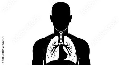 Vector art of a silhouette of human lungs, , represents the respiratory system, essential for breathing and life, highlighting the importance of lung health and function