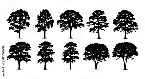Vector art of silhouette of various tree types, showcasing diverse shapes and sizes, ideal for naturethemed designs, forestry studies, and ecological illustrations