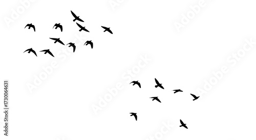 Vector art of a flock of birds silhouetted against a, soaring through the sky in a dynamic formation, creating a sense of freedom and natural beauty