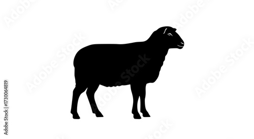 Vector art of silhouette of a sheep, showcasing its woolly coat and sturdy build, representing pastoral imagery and agricultural symbolism in a clean design