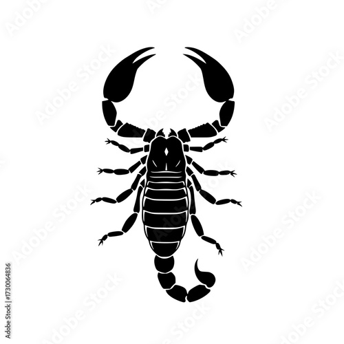 Illustration of a black scorpion, showcasing its segmented body, pincers, and stinger, often associated with danger, venom, and the zodiac sign scorpio