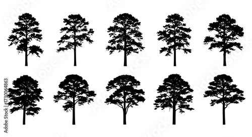 Vector art of a collection of ten tree silhouettes, each displaying a unique shape and branch structure, showcasing the diversity of tree forms in nature