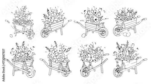 Collection of detailed line art drawings of whiskers and mouth anatomy series vector