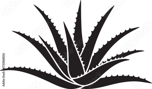 Aloevera silhouette vector illustration