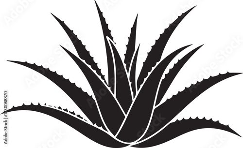 Aloevera silhouette vector illustration