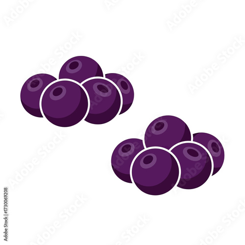 Two clusters of fresh, dark purple blueberries or similar berries, depicted in a simple vector art style on a white background.