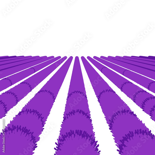 Abstract perspective of purple textured rows receding into a white background.