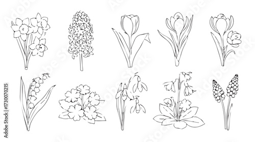 Collection of delicate hand-drawn botanical bouquets and floral arrangements in sketch style vector