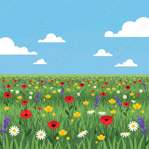 A vibrant and colorful meadow filled with an assortment of wildflowers including red poppies, yellow buttercups, white daisies, and purple lavender under a bright blue sky with fluffy white clouds.