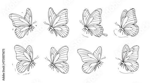 Collection of delicate black and white butterfly illustrations in various poses vector