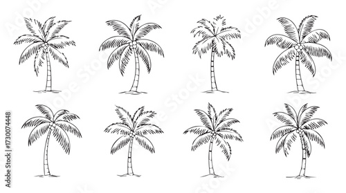 Collection of elegant stylized palm tree silhouettes for tropical and beach themed designs vector