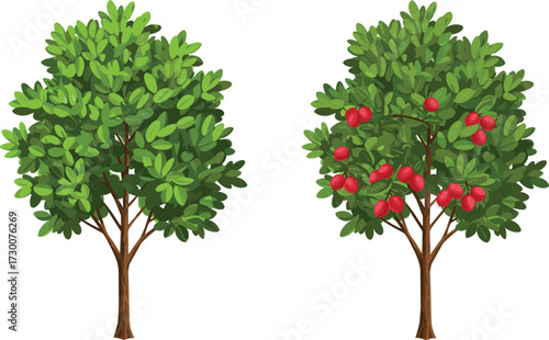 Fruit-bearing tree and non-fruiting tree side by side, highlighting botanical contrast, foliage symmetry, and plant biology in cartoon illustration