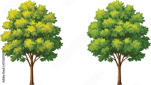 Green and yellowish tree foliage variation, seasonal transition, botanical contrast, nature cycle, environmental concept, cartoon vector illustration, deciduous leaf change