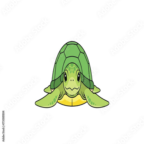 A cartoon illustration of a green turtle facing the viewer, isolated.