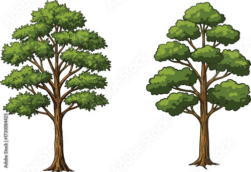 Two stylized trees with contrasting trunk thickness and foliage density, illustrating botanical diversity and environmental storytelling in vector cartoon art