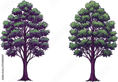 Two stylized trees with purple trunks and contrasting foliage tones, illustrating botanical diversity and environmental storytelling in vector silhouette art
