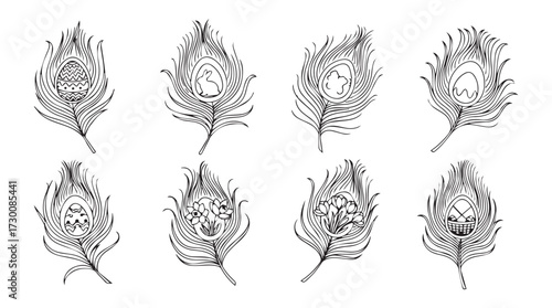 Artistic set of eight delicate black and white peacock feather line art designs vector