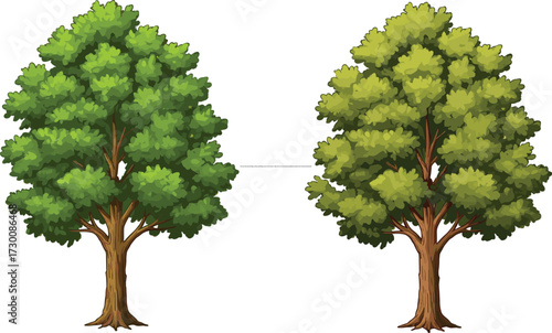Two trees with seasonal foliage contrast, symbolizing nature’s transformation, vitality shift, and environmental storytelling in botanical vector silhouette illustration
