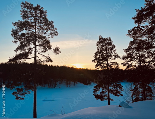 Sunset over frozen winter lake with snowy forest in Norway