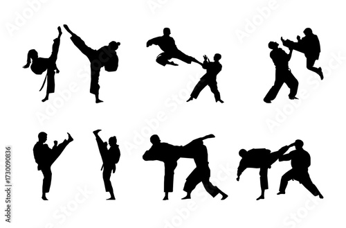 Dynamic martial arts moves displayed in a striking silhouette art piece featuring various combat techniques