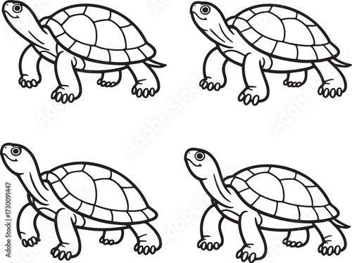 Set of Tortoise Outline vector illustration isolated On Transparent Background