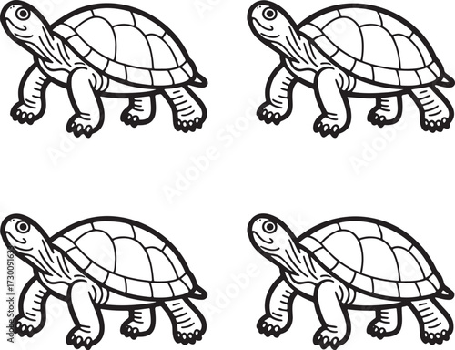 Set of Tortoise Outline vector illustration isolated On Transparent Background